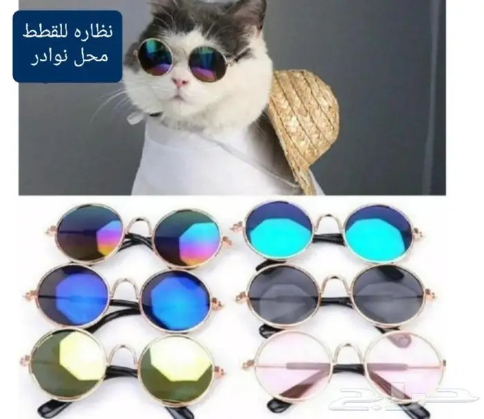 اكل ورمل قطط ومستلزماتها نوادر 40