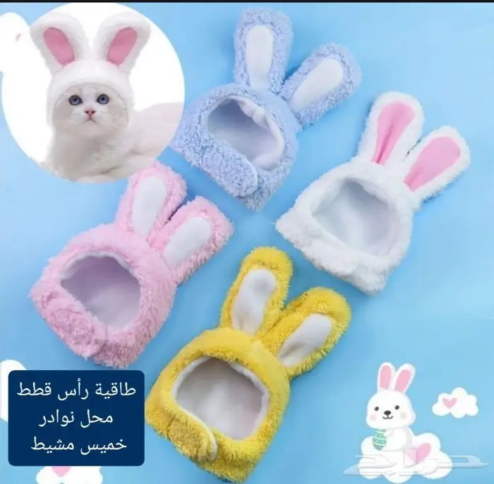 اكل ورمل قطط ومستلزماتها نوادر 13