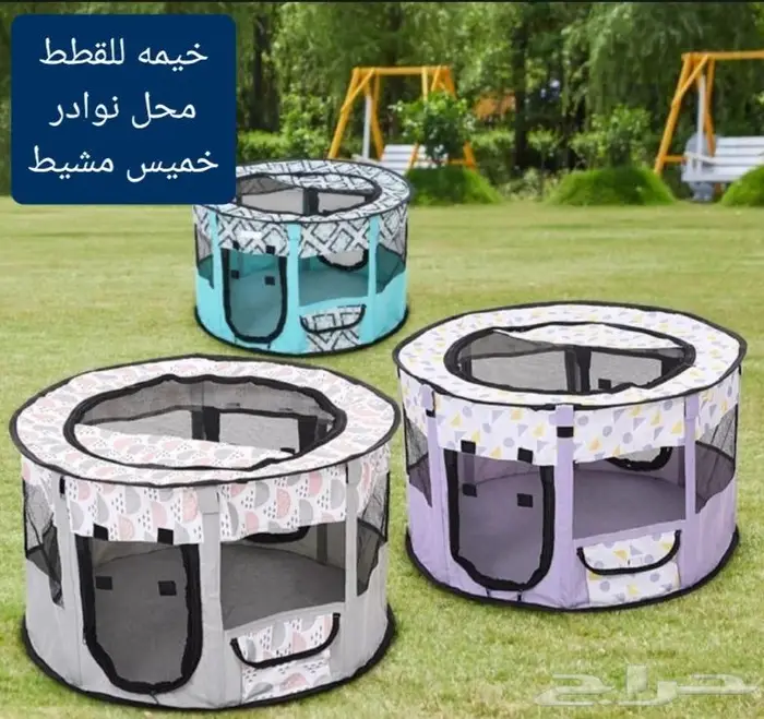 اكل ورمل قطط ومستلزماتها نوادر 14