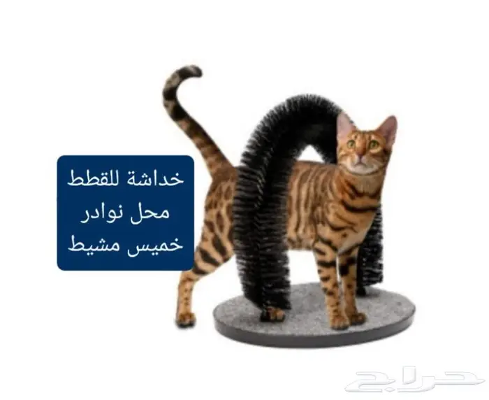 اكل ورمل قطط ومستلزماتها نوادر 28