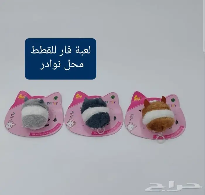 اكل ورمل قطط ومستلزماتها نوادر 44
