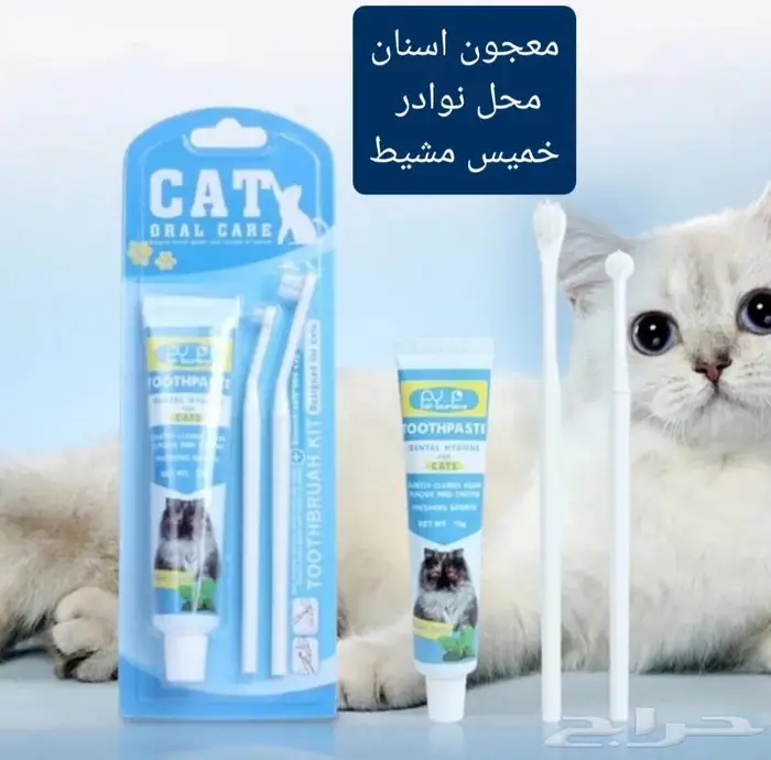 اكل ورمل قطط ومستلزماتها نوادر 19