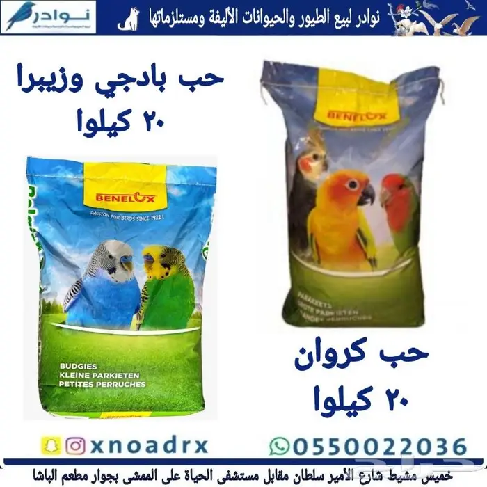 طيور زينة وجميع مستلزماتها للبيع 11