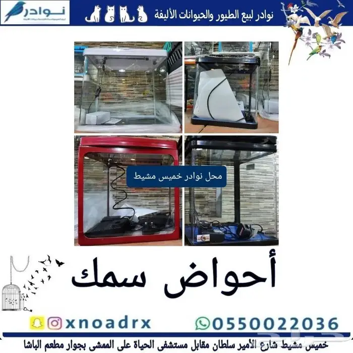 جديد اكل قطط ابلاوز ورمل قطط 6