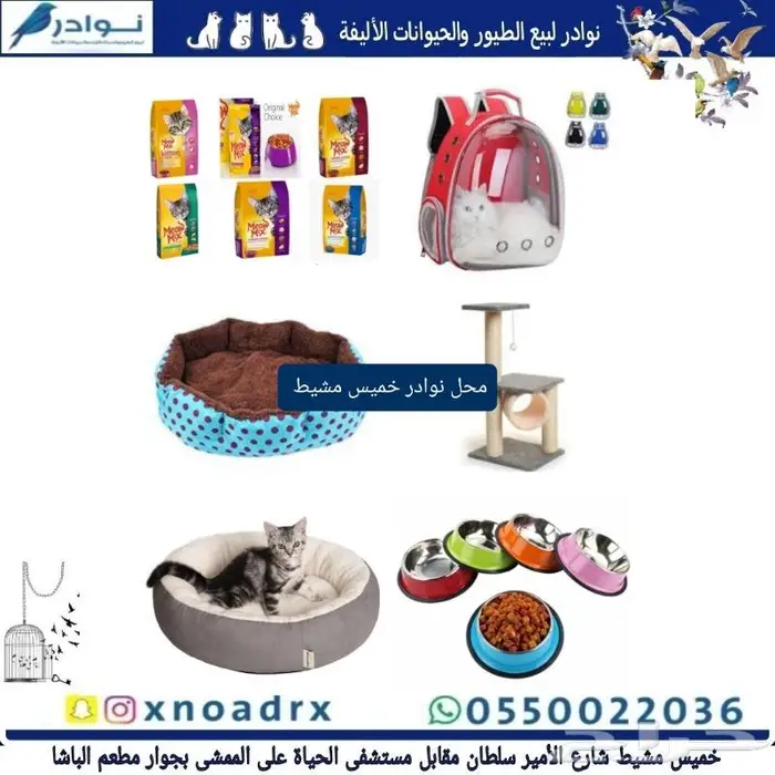 جديد اكل قطط ابلاوز ورمل قطط 13