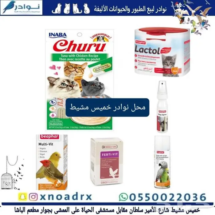 جديد اكل قطط ابلاوز ورمل قطط 15