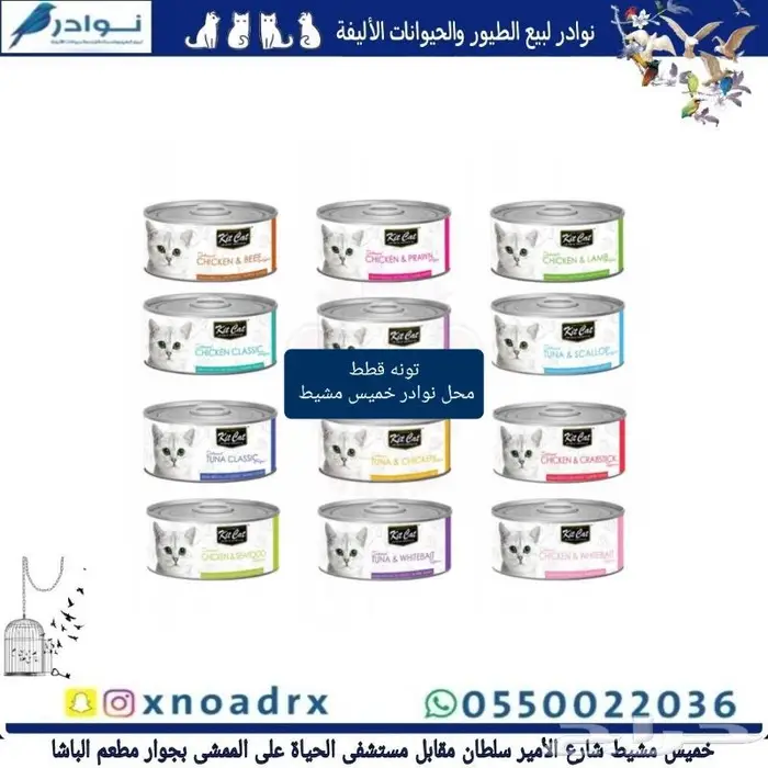 جديد اكل قطط ابلاوز ورمل قطط 18