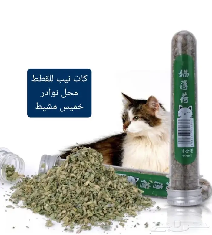 اكل ورمل قطط ومستلزماتها نوادر 25