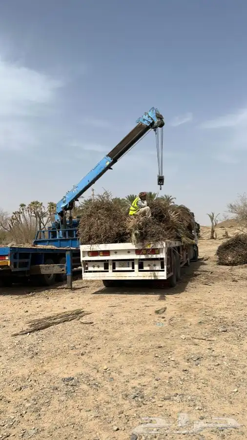 العجار ونش 3