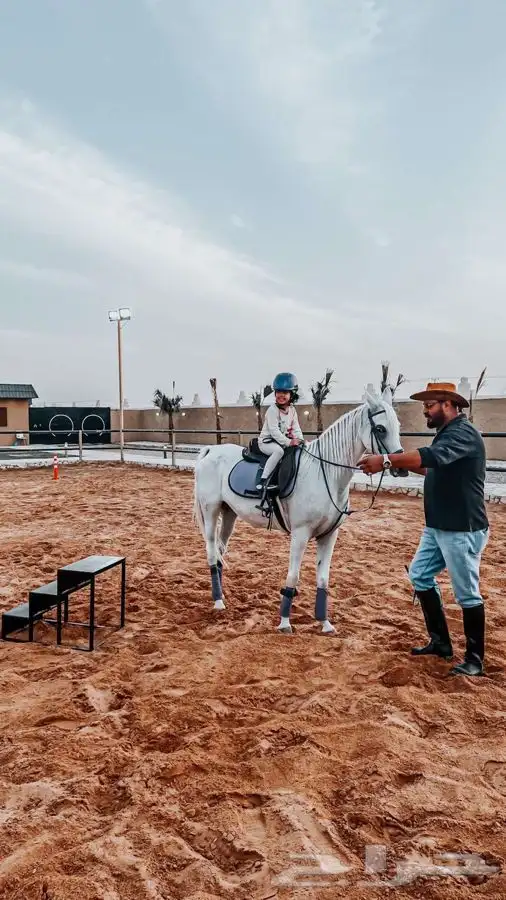 دورات تعليم ركوب الخيل 22