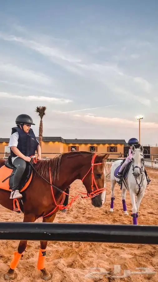 دورات تعليم ركوب الخيل 24