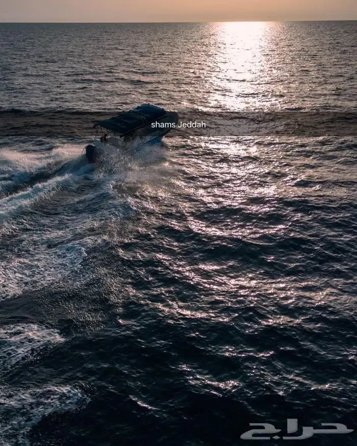 عرض لفترة محدودة 22