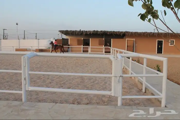 دورات تعليم ركوب الخيل 5