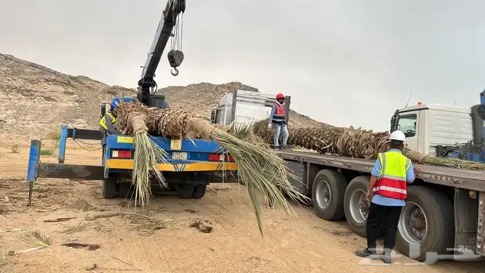 العجار ونش 4