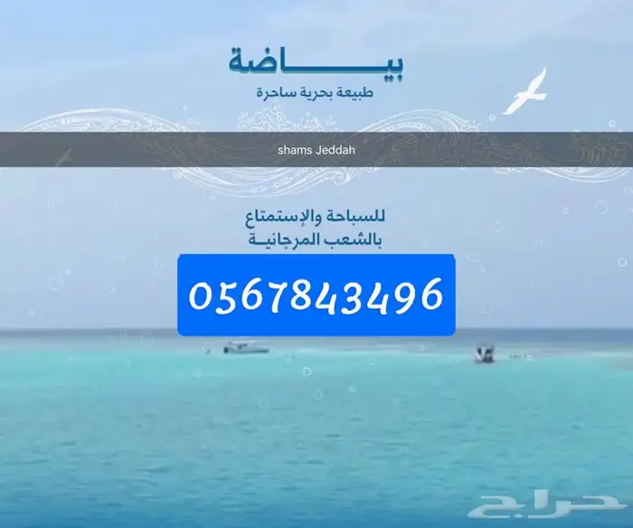 عرض لفترة محدودة 36