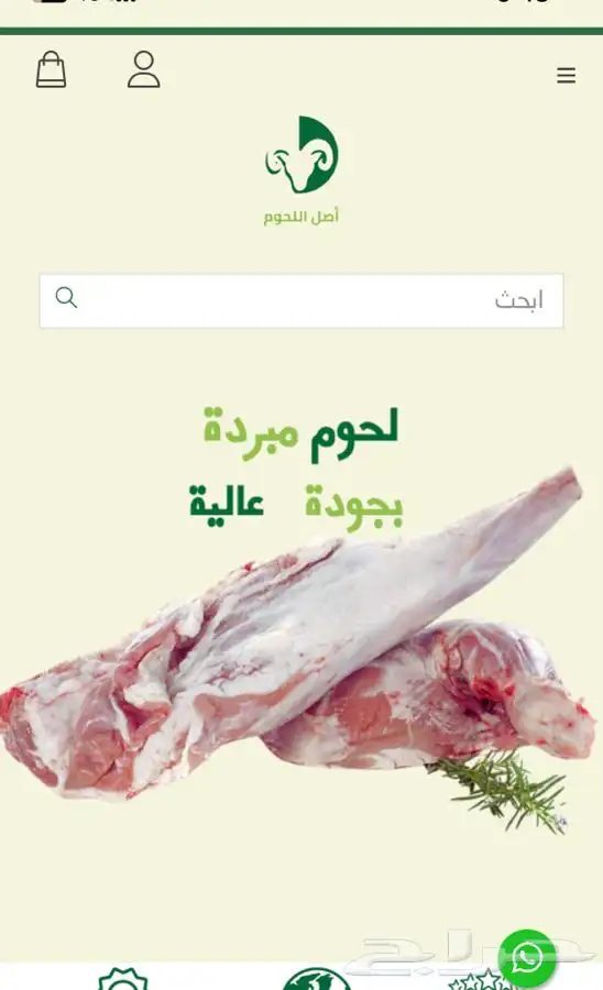 تصميم مواقع و متاجر الكترونية سله زد وغيرها من المنصات 13