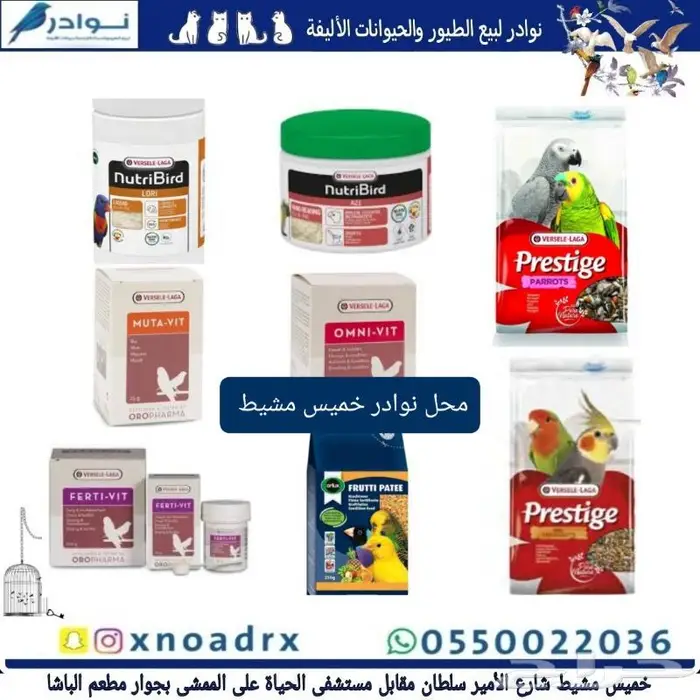 زبريم وباتيه طيور زينة نوادر خميس مشيط 47