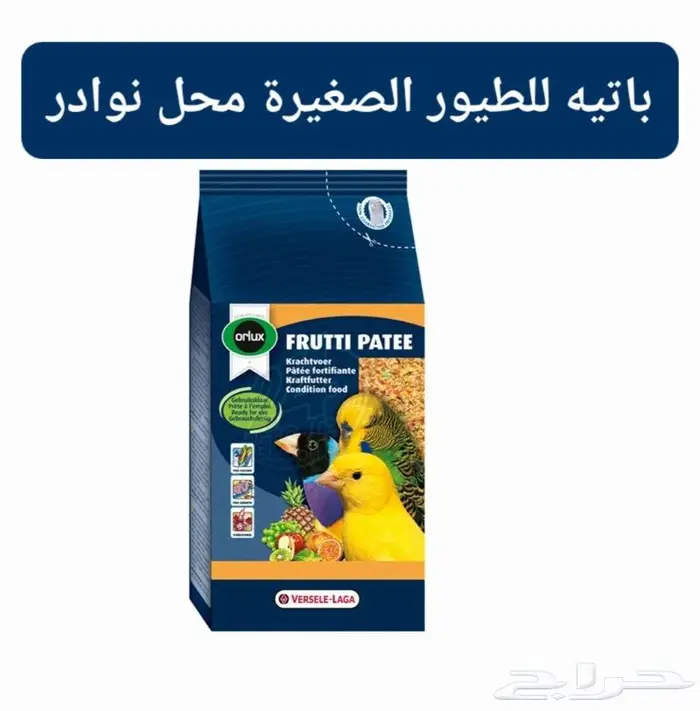 زبريم وباتيه طيور زينة نوادر خميس مشيط 10