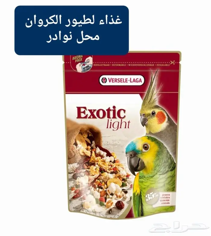 زبريم وباتيه طيور زينة نوادر خميس مشيط 13