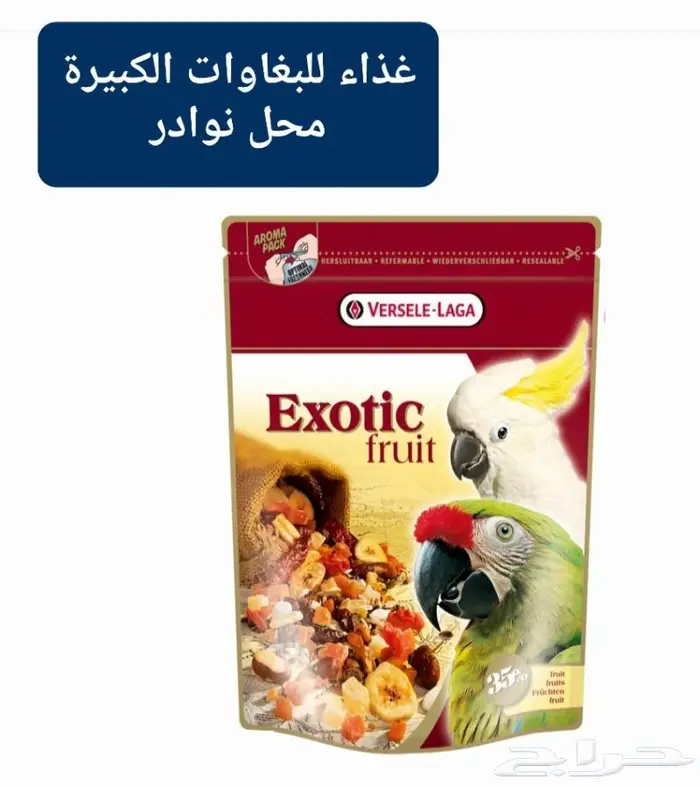 زبريم وباتيه طيور زينة نوادر خميس مشيط 14