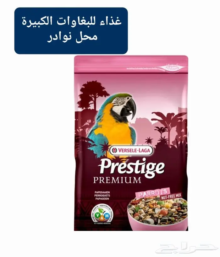 زبريم وباتيه طيور زينة نوادر خميس مشيط 11