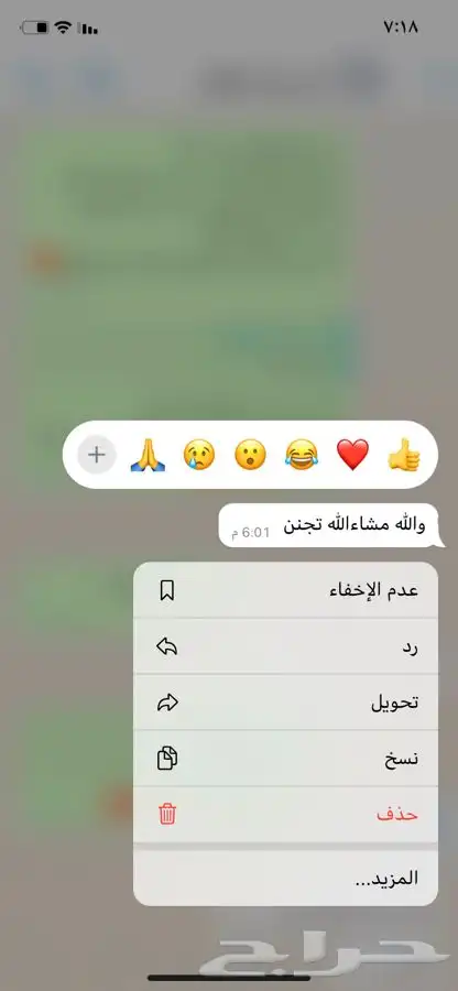 دخون دوسري وهرمي ولبان مسقى مستكه معطره لوشن معطر وخمريات 13