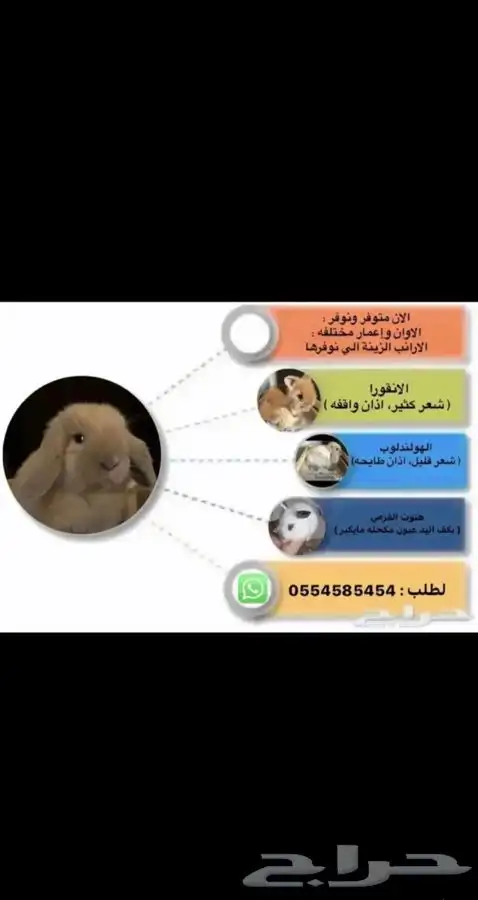 ارانب 5