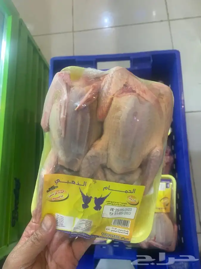 حمام فرنسي   بط   سمان 0