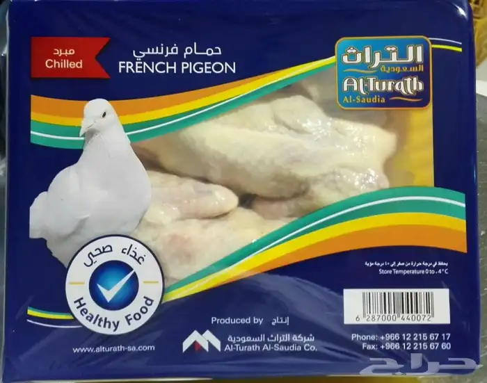 حمام فرنسي   بط   سمان 8