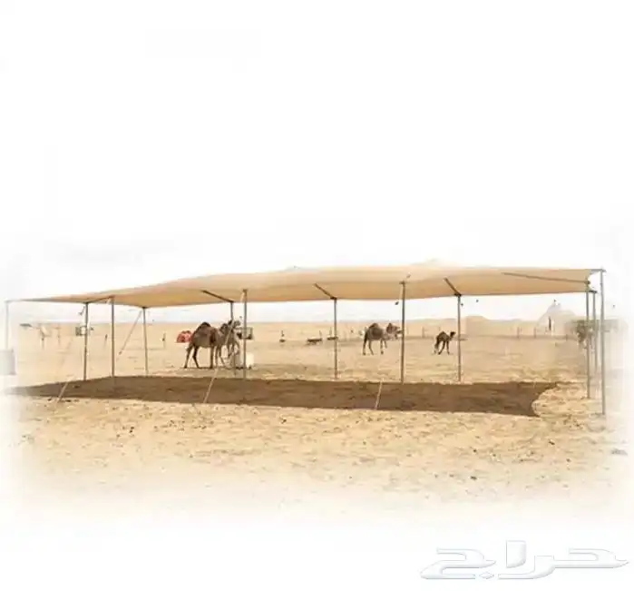 مضلة حلال - مضلي ابل تضليل _ ضلال 6