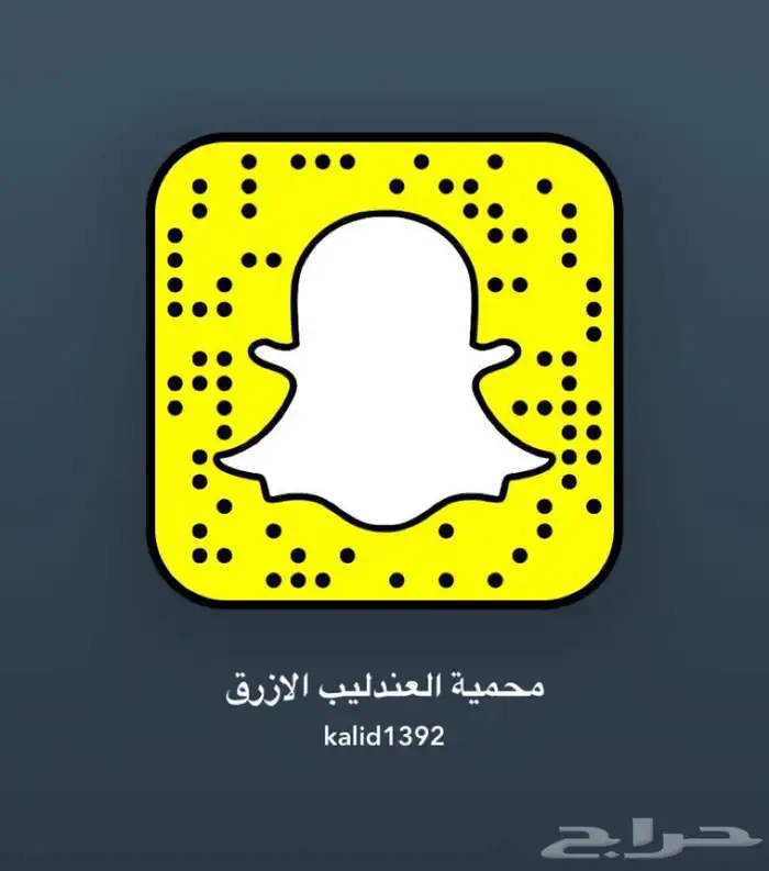 سناجب طائره 4