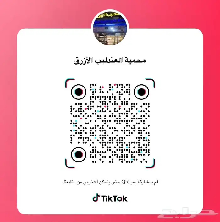 سناجب طائره 3