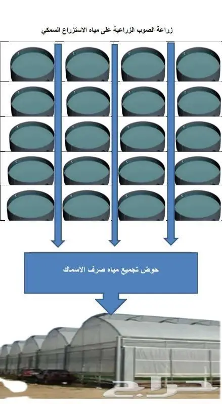 مشروع 1 في 2 زراعه الصوب الزراعية على مياه الاستزراع السمكي 3