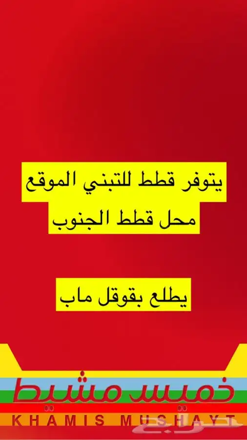 قطط طيور سلااحف اسماك هامستر مستلزمات الحيونات 11
