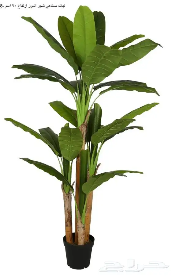 بديل الخشب داخلي وخارجي من المستودع جملة 14