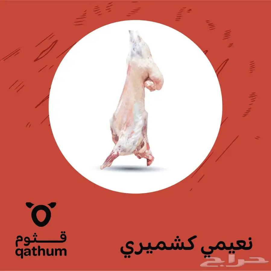 ذبايح نعيمي سواكني جذع ولباني وحاشي وعجل 0