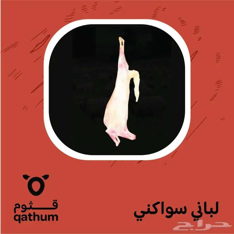 ذبايح نعيمي سواكني جذع ولباني وحاشي وعجل 2