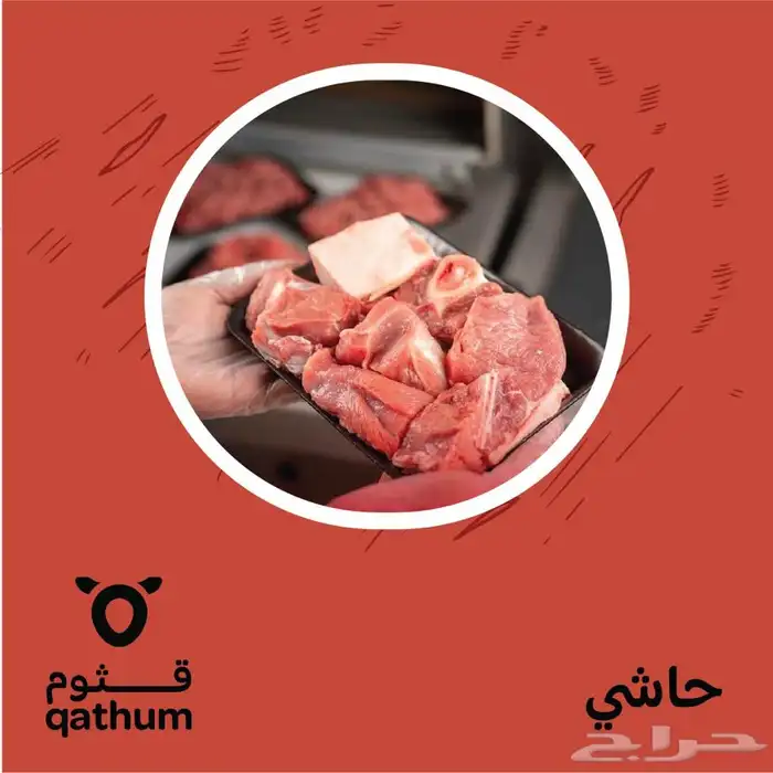 مبيعات جملة لحوم النعيمي والتيوس توريد يومي عبر الشحن الجوي 3