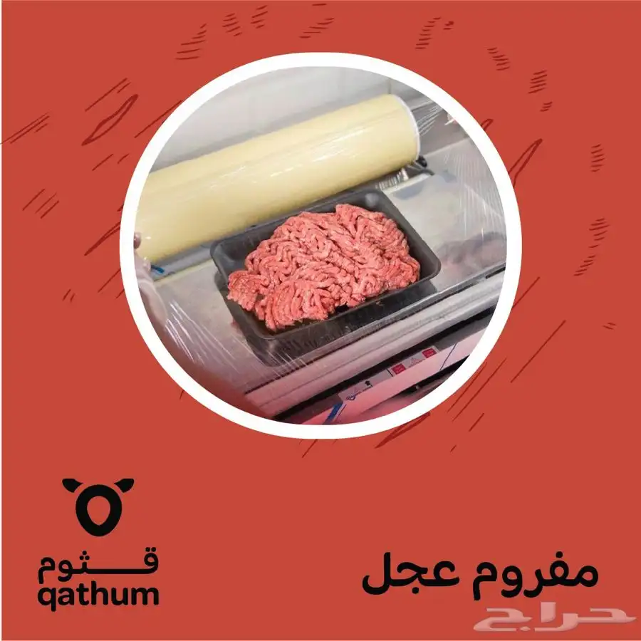 ذبايح نعيمي سواكني جذع ولباني وحاشي وعجل 4