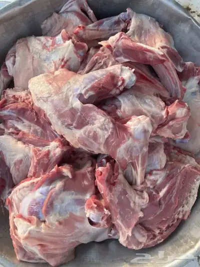 طليان وتيوس حنيذ بالمرخ 1