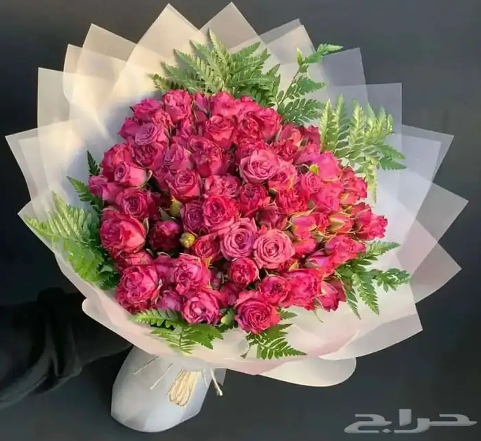 توصيل هدايا 5