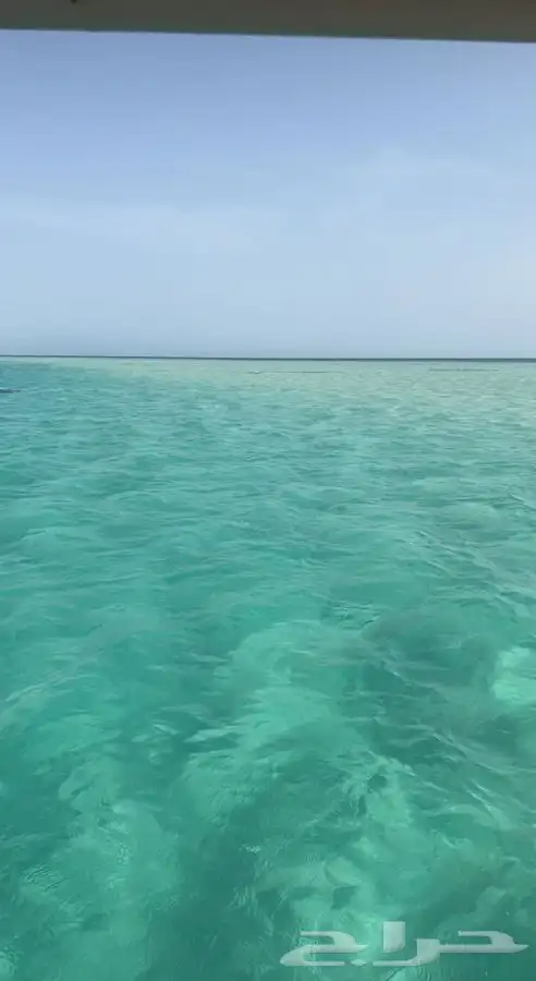 قارب رحلات بحرية نزهه - صيد - سباحة - مرسى الرايس 11