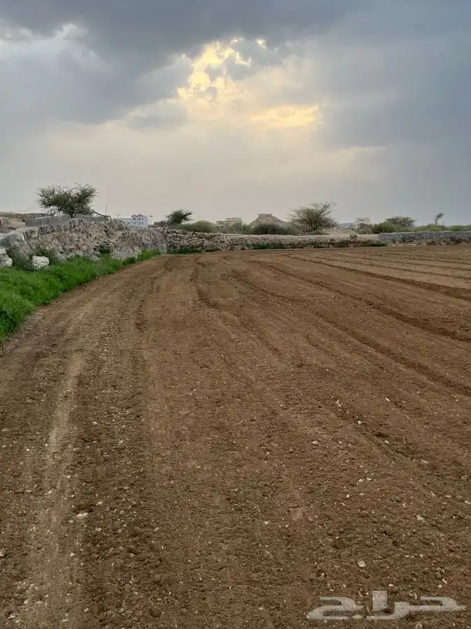 حراثه للايجار 5