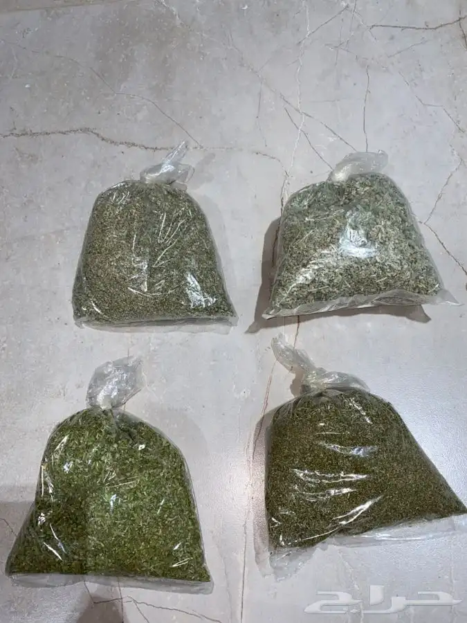 قيصوم. جعده. بعيثران. شيح. زعتر 0