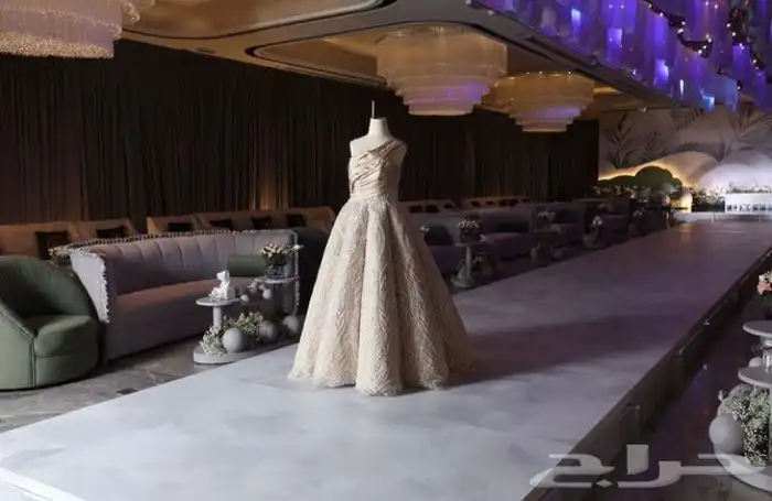مصورة عرايس 14