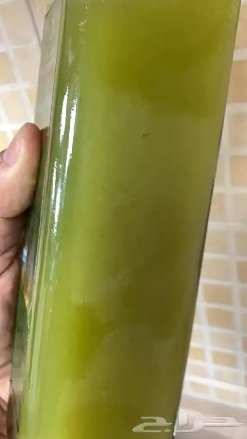 زيت زيتون 1