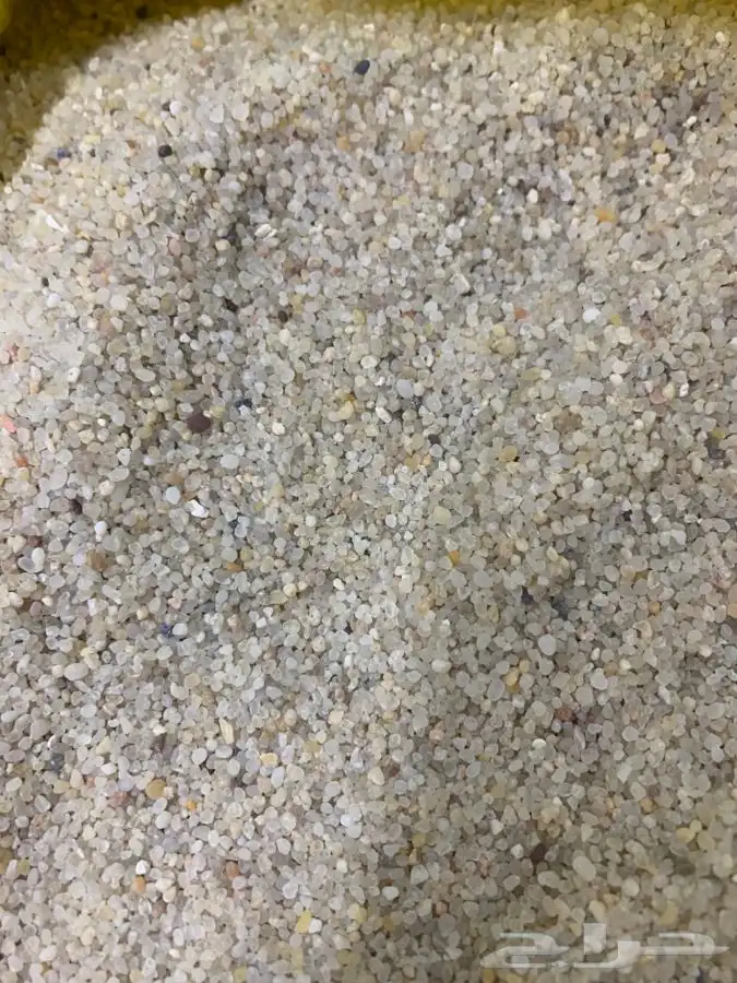 رمل احواض سمك 2