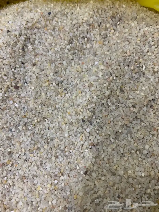 رمل احواض سمك 1