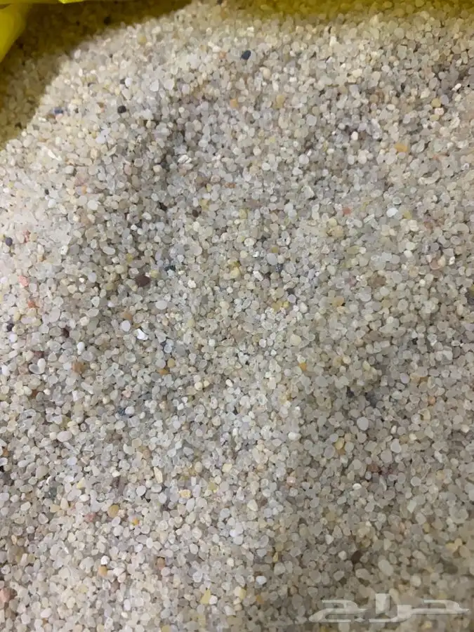 رمل احواض سمك 7