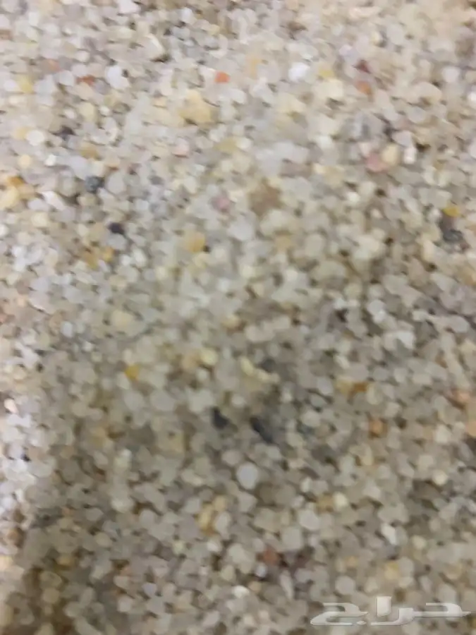 رمل احواض سمك 6